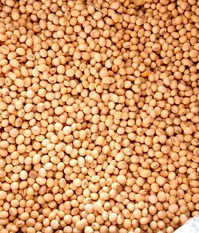Soyabeans